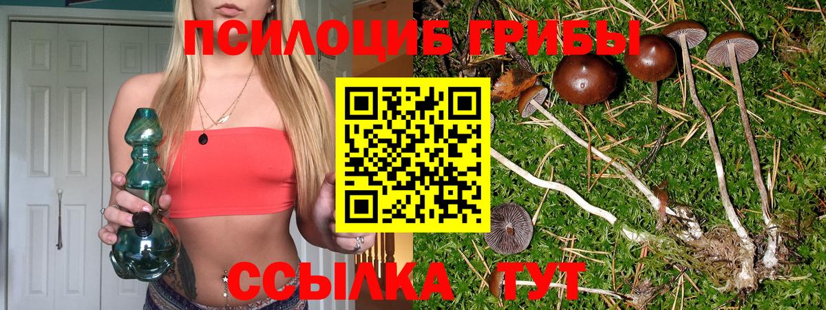 Лениногорск  Галлюциногенные грибы мицелий  Вход с VPN 