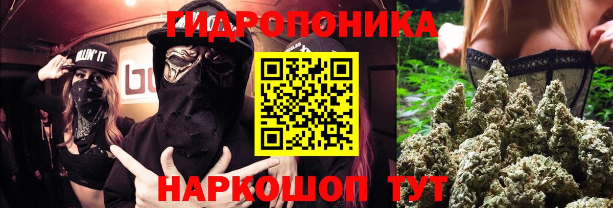 Бошки Шишки OG Kush  Конопля ГИДРОПОН  Марихуана индика  Лениногорск  Вход с VPN 